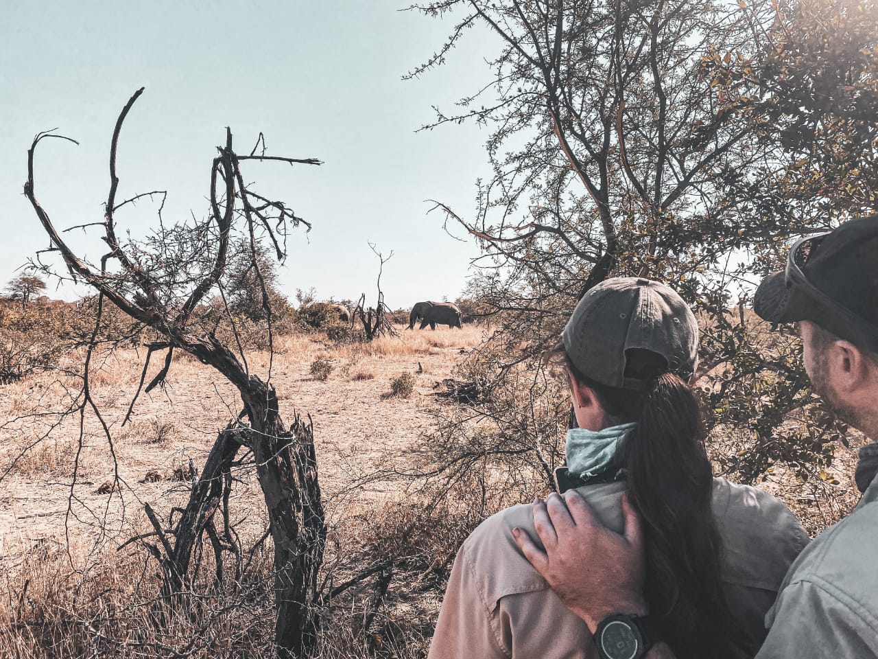 Guests walking with professional guides on a walking safari in Africa