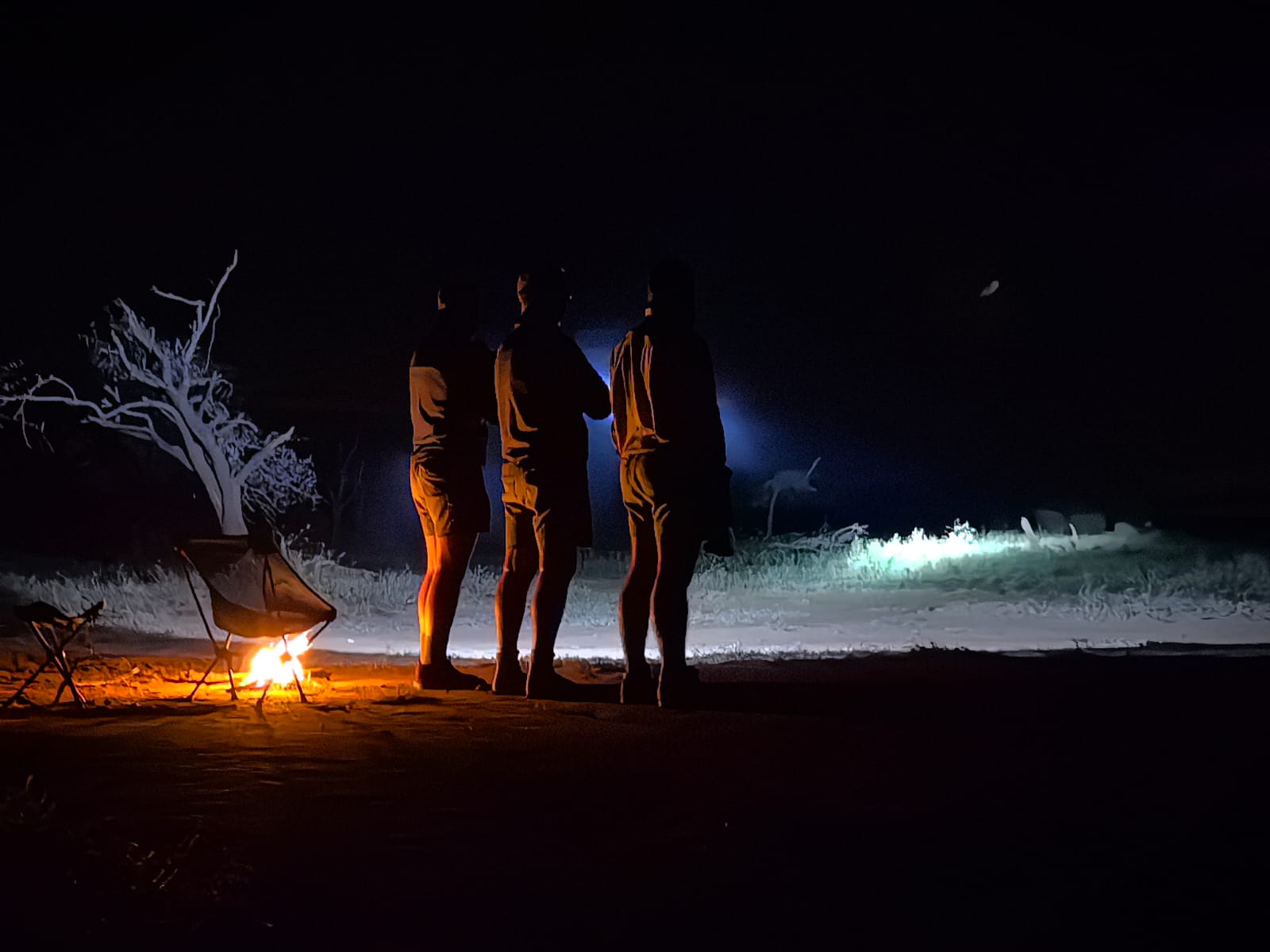 Sleeping under the stars on a camp-based walking safari in the Greater Kruger