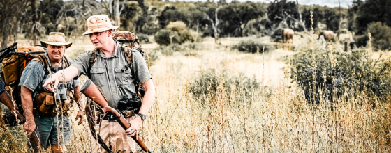 Walking safari workshops
