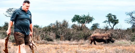 Guests walking quietly with professional guides in the African bush